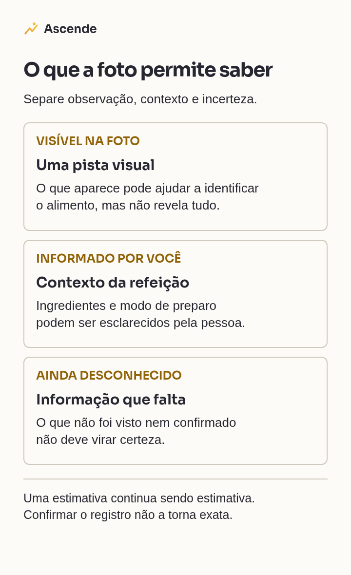 Três grupos para conferir a estimativa: alimentos visíveis na foto, preparo ou porção informados pela pessoa e detalhes que continuam desconhecidos.